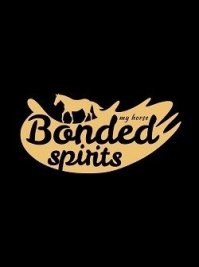 скрин My Horse: Bonded Spirits