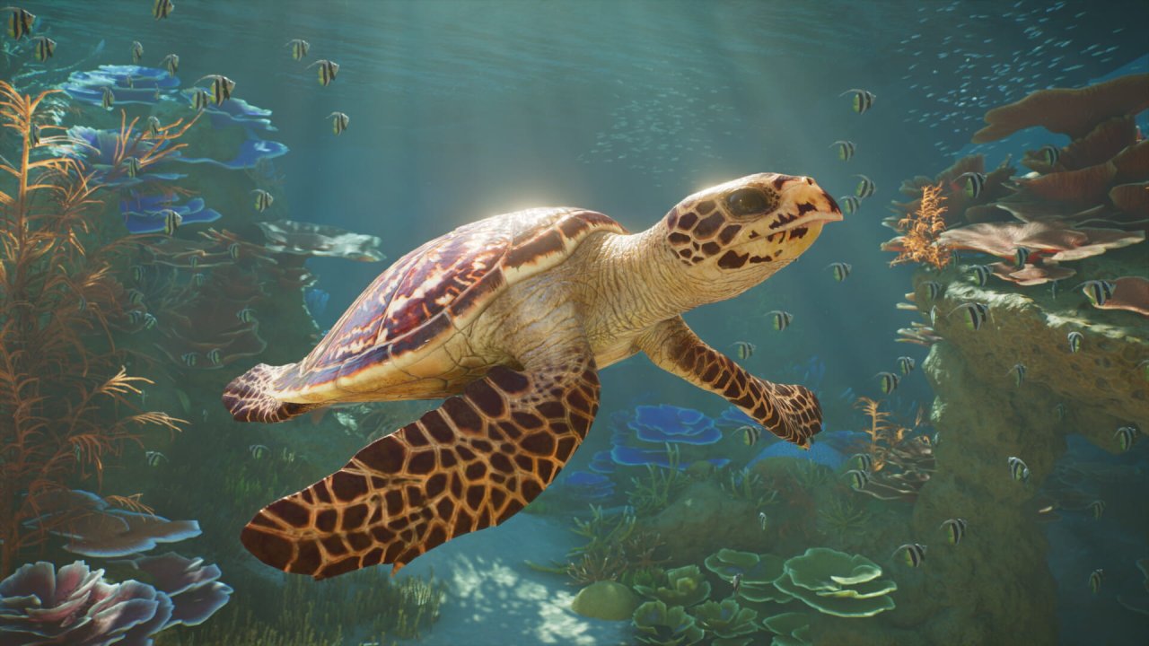 Фото Planet Zoo 2 от R.G. МЕХАНИКИ